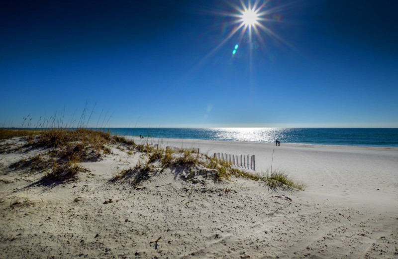 Luna Beach Properties (Gulf Shores, AL) Resort Reviews