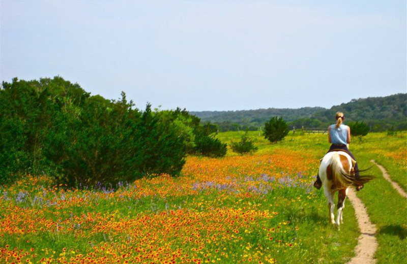 Hill Country Equestrian Lodge (Bandera, TX) Resort Reviews