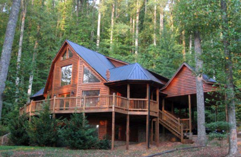 Black Bear Cabin Rentals (Blue Ridge, GA) Resort Reviews