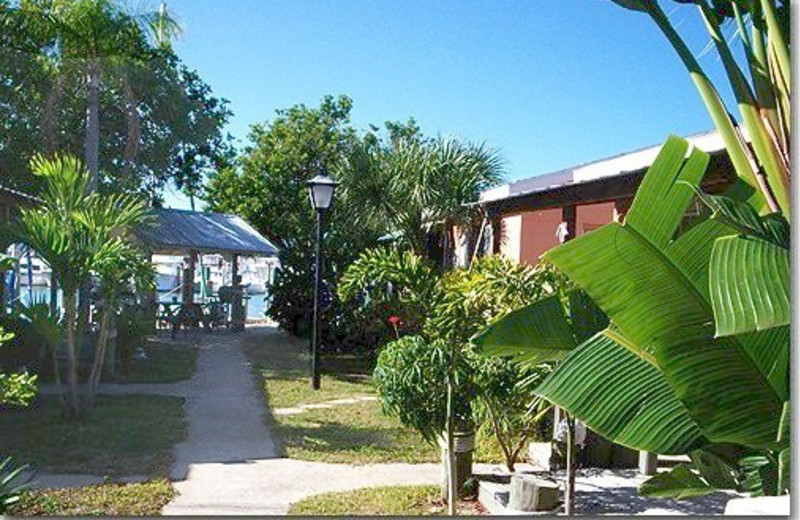 Changing Tides Of Madeira Beach (Madeira Beach, FL) Resort Reviews