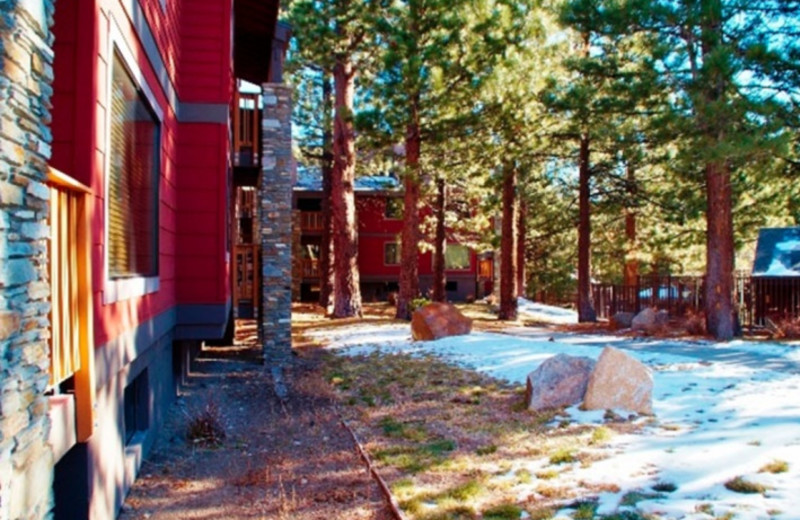 Mammoth Lakes Vacation Rentals Condo Comfort for the Whole Family