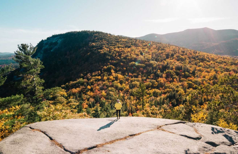 North Vacation Spots (Ellijay, GA) Resort Reviews