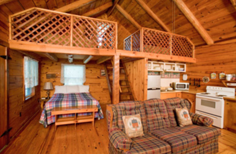 Ponca Vacation Rentals Cabin This Classic Cabin is your perfect