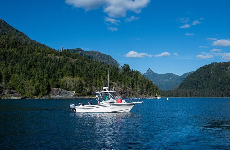 Nootka Marine Adventures (Tahsis, British Columbia) Resort Reviews