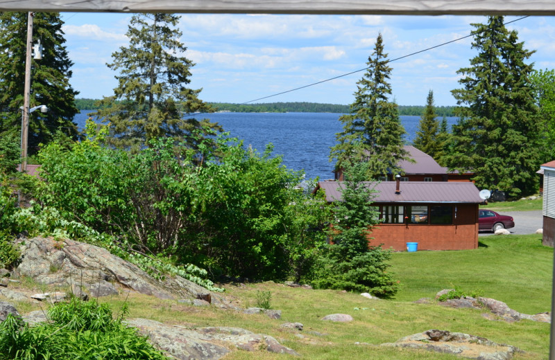 Pine Tree Cove Resort (Kabetogama, MN) Resort Reviews