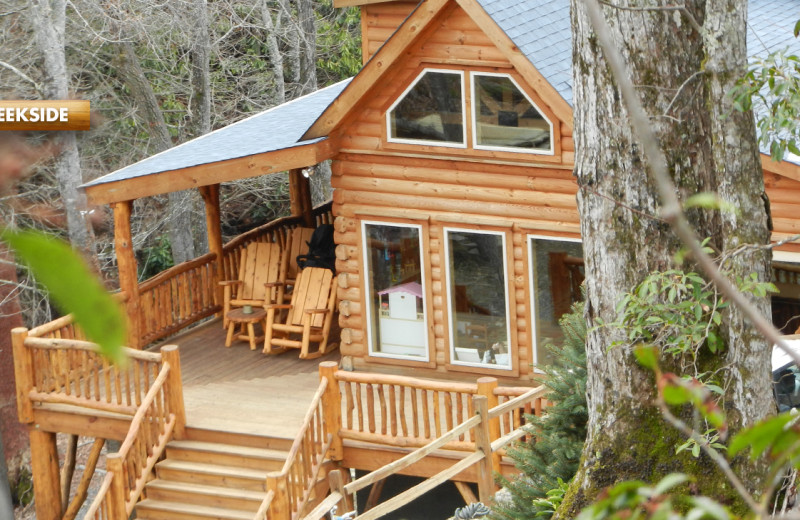 High Rock Rentals (Black Mountain, NC) Resort Reviews