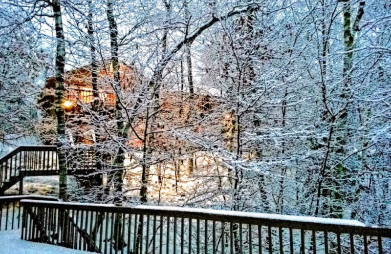 Lakeland Rental Management (Minocqua, WI) Resort Reviews