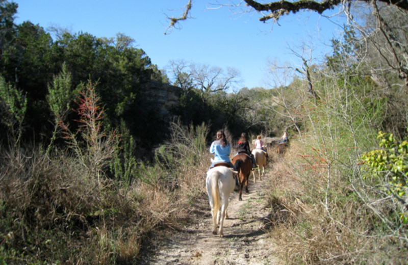 Horseback Riding Texas Hill Country Horseback Riding San Antonio
