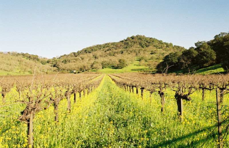 Napa Vacation Rentals Condo Two Bedroom/Two Bathroom Condo Rental in Napa! RAL