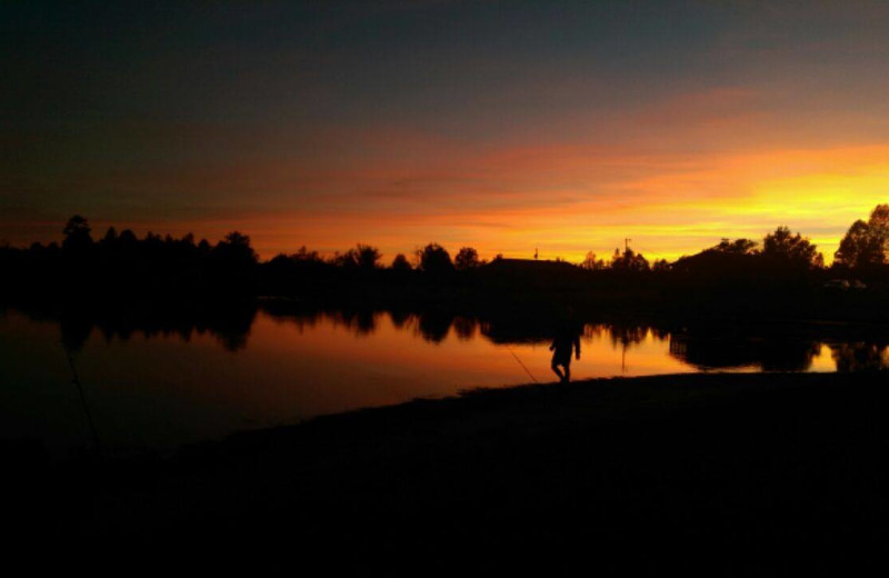 Big Buck Resort (Hornsby, TN) Resort Reviews