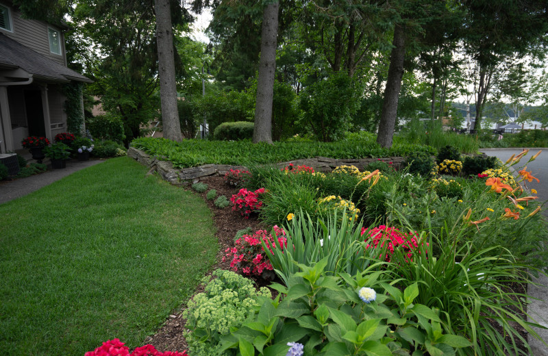 Taboo Muskoka (Gravenhurst, Ontario) Resort Reviews