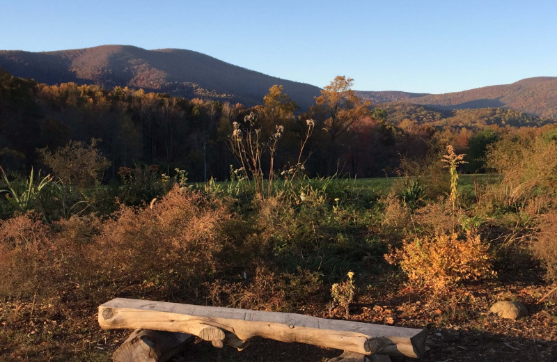 Montfair Resort Farm (Charlottesville, VA) Resort Reviews