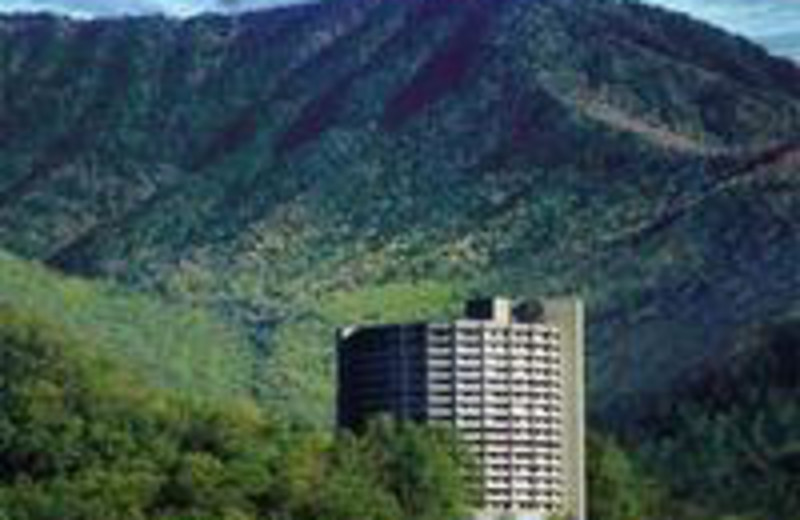 Park Vista Resort Hotel (Gatlinburg, TN) Resort Reviews