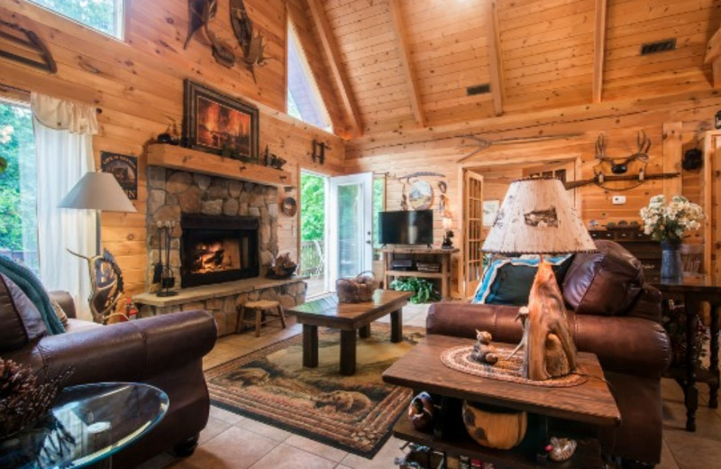Ridgedale Vacation Rentals Cabin Trapper's Den D'Monaco Luxury