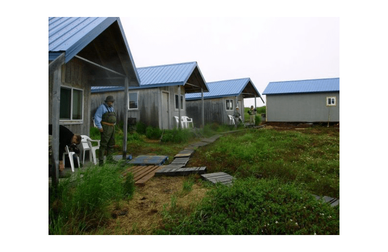 Naknek River Camp (King Salmon, AK) Resort Reviews
