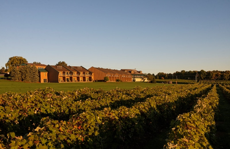 Inn at Glenora Wine Cellars (Dundee, NY) Resort Reviews