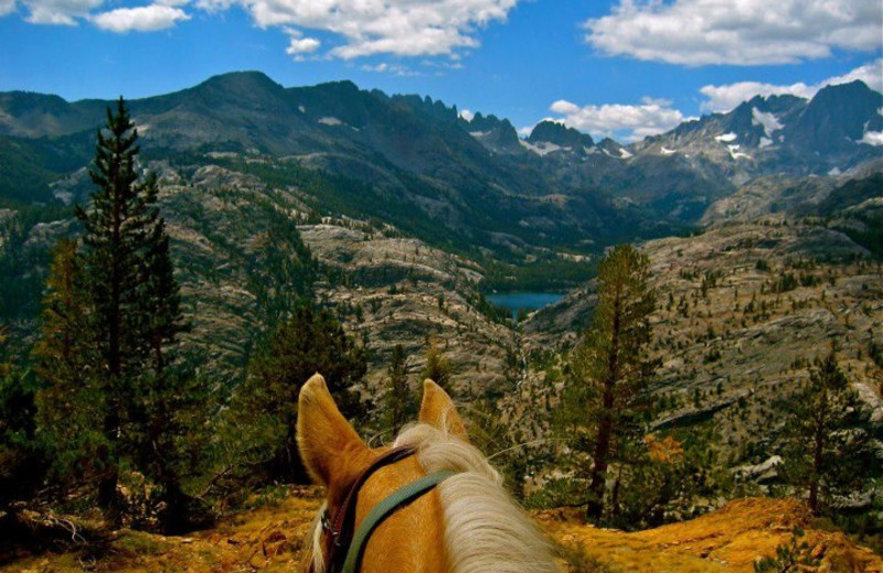 Fern Creek Lodge (June Lake, CA) Resort Reviews