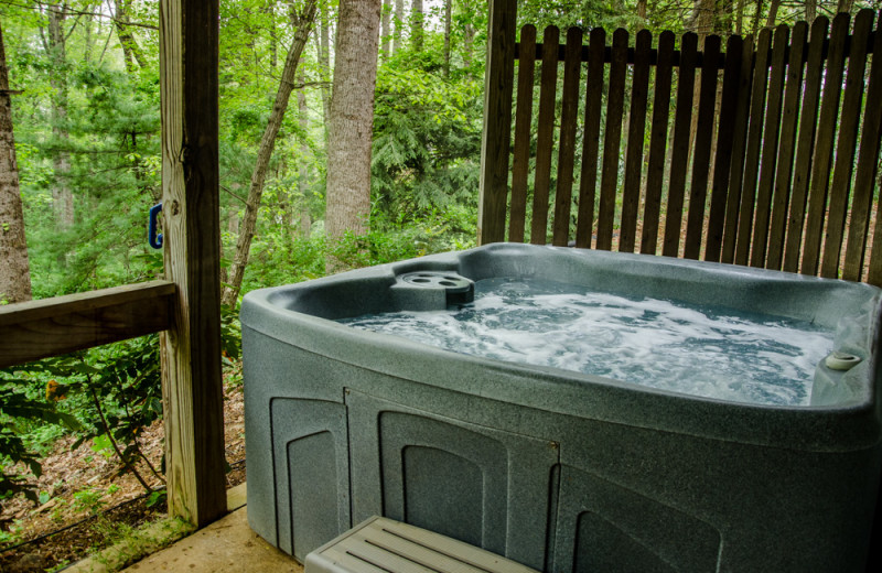 Asheville Cabins of Willow Winds (Asheville, NC) Resort Reviews