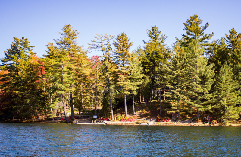 White Lake Lodges (Forestport, NY) Resort Reviews