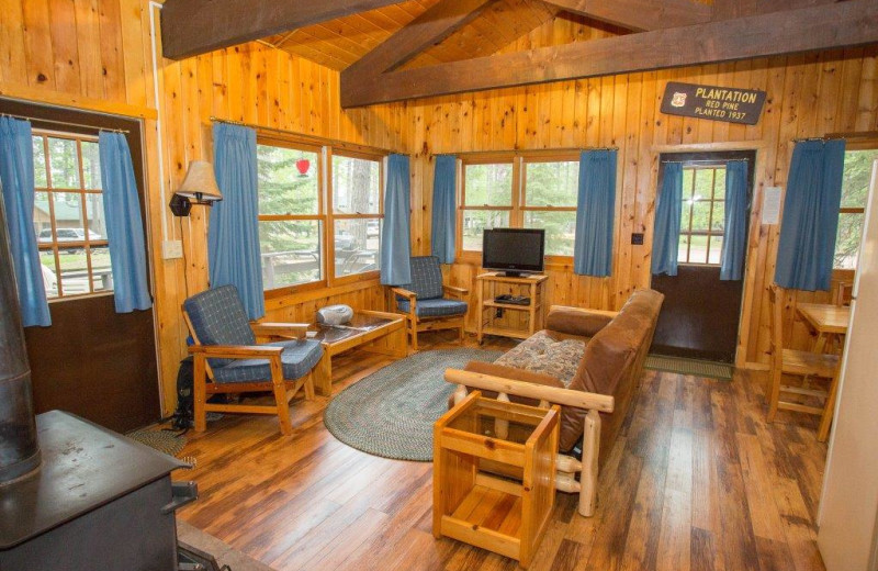 Timber Bay Lodge & Houseboats (Ely, MN) Resort Reviews