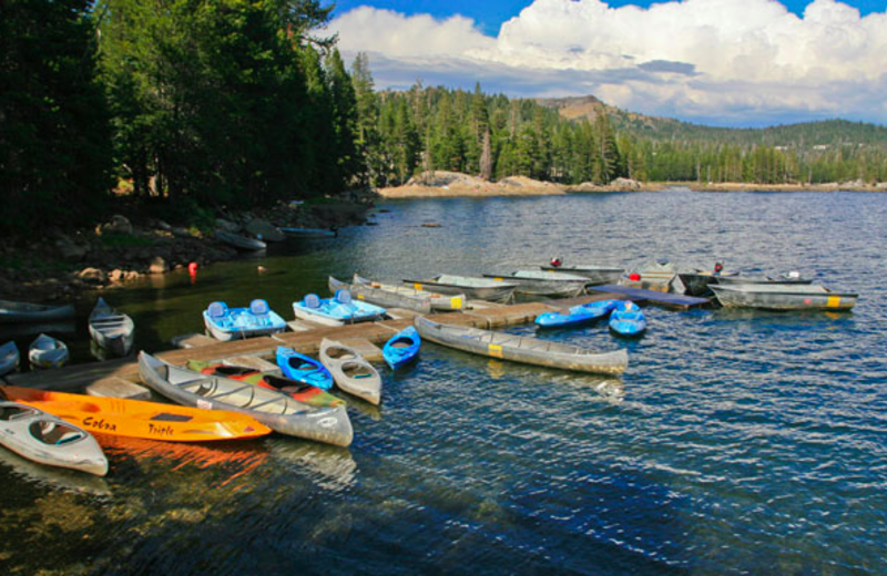 Lake Alpine Lodge (Bear Valley, CA) Resort Reviews