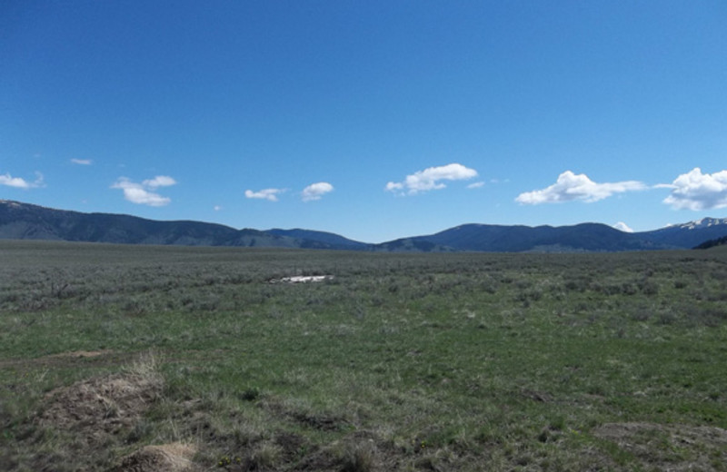 Rainbow Realty (Island Park, ID) Resort Reviews