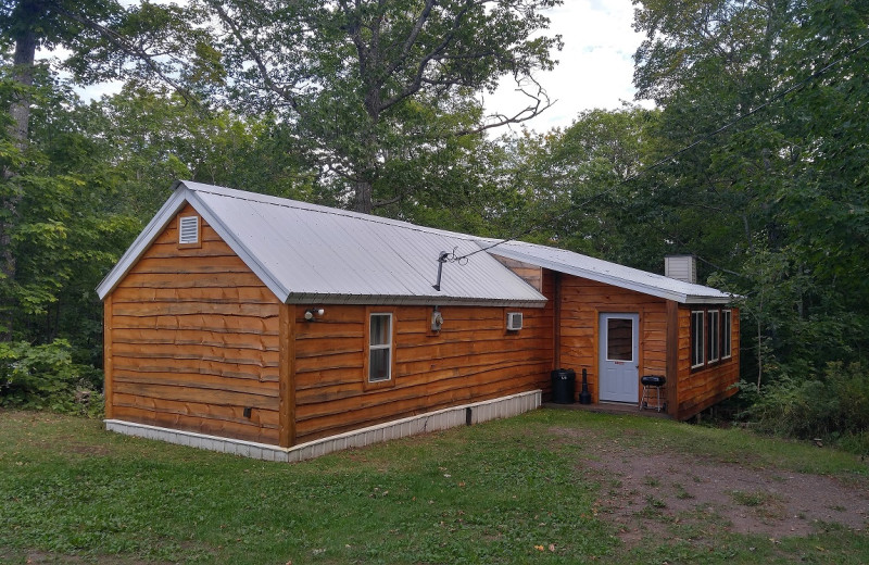 Wilderness Resort Cabins & Campground (Lac La Belle, MI) Resort