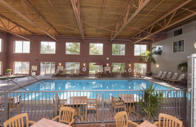 Hampton Inn Holland (Holland, MI) Resort Reviews