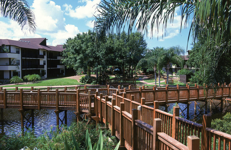 Park Shore Resort (Naples, FL) Resort Reviews