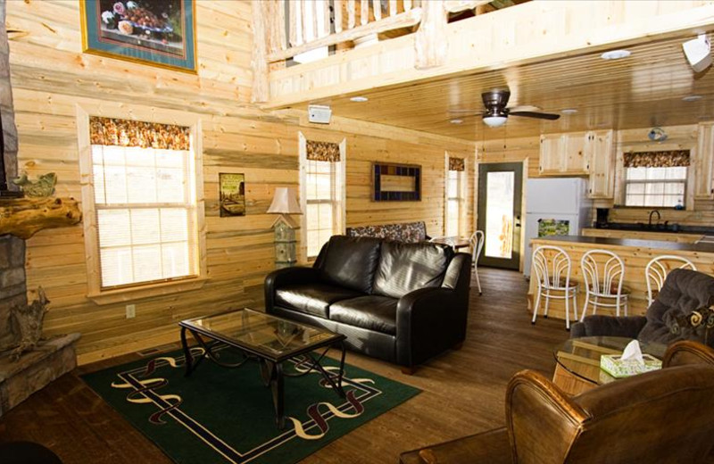 The Cabins at Stockton Lake (Stockton, MO) Resort Reviews