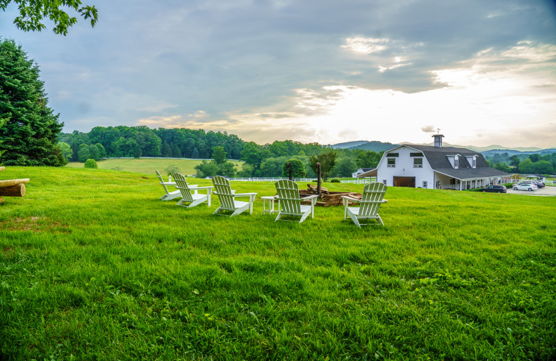 The Horse Shoe Farm (Hendersonville, NC) Resort Reviews
