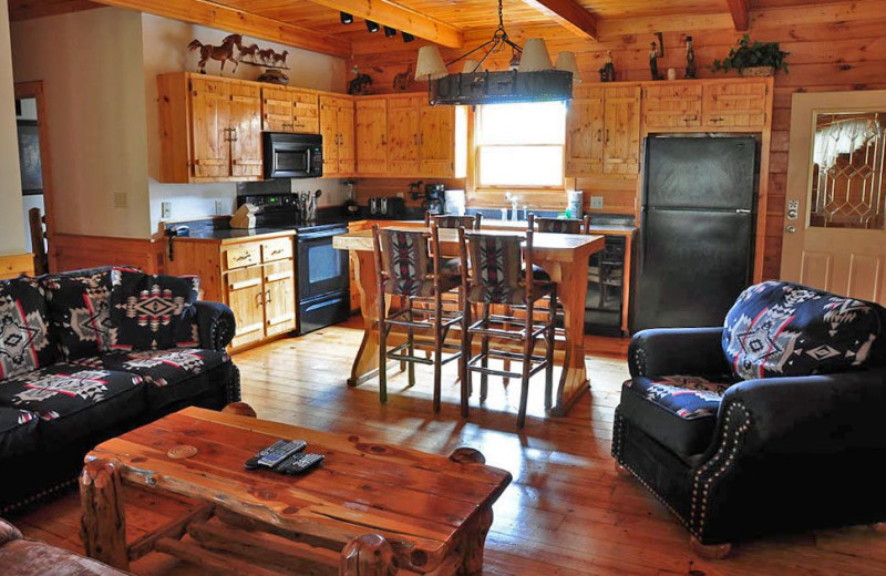 Skye Realty and Rentals Inc. (Sevierville, TN) Resort Reviews