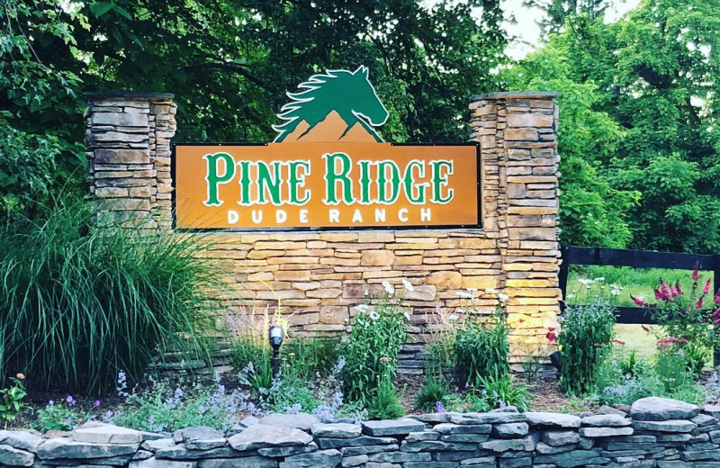 Pine Ridge Dude Ranch (Kerhonkson, NY) Resort Reviews