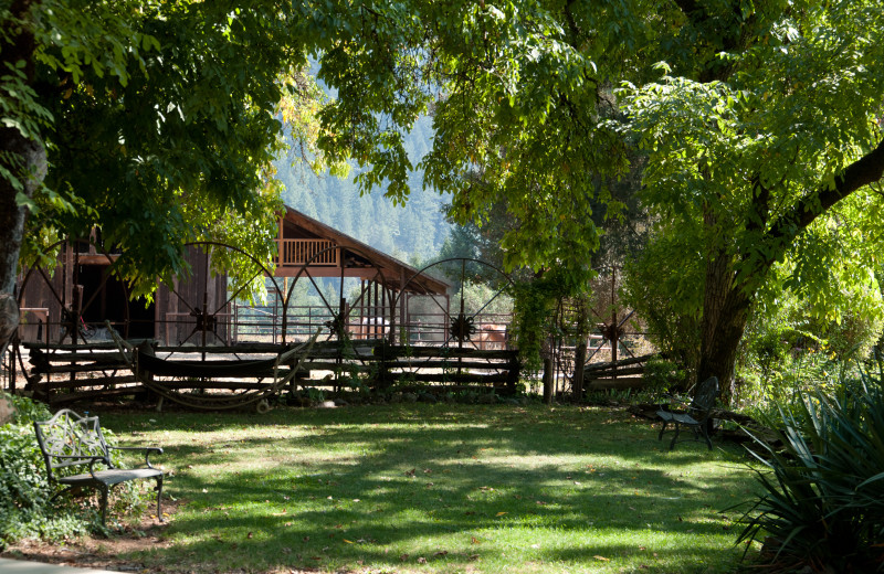 Marble Mountain Guest Ranch (Somes Bar, CA) Resort Reviews