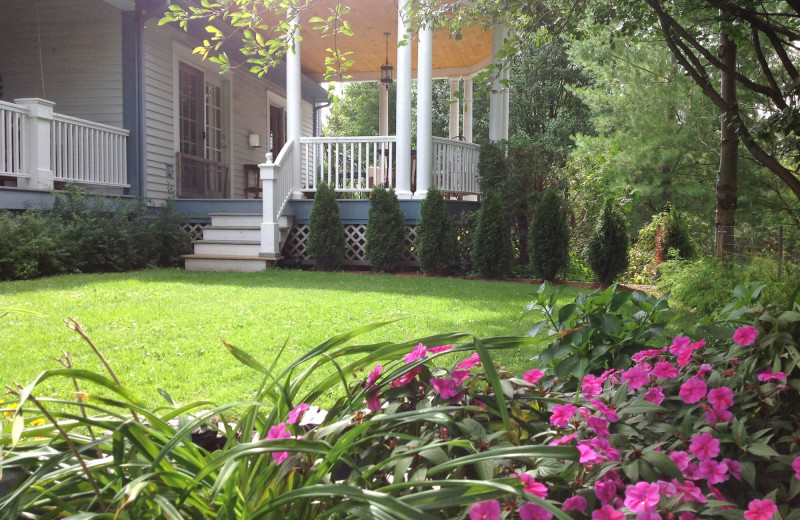 Williston Village Inn (Williston, VT) Resort Reviews