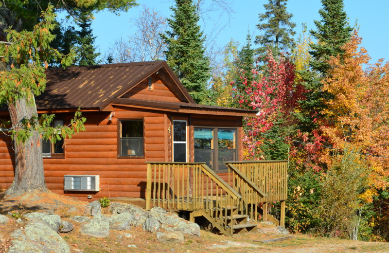 Pine Tree Cove Resort (Kabetogama, MN) Resort Reviews