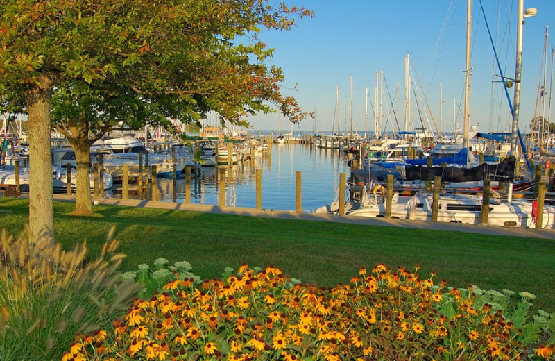 Herrington Harbour (Friendship, MD) Resort Reviews