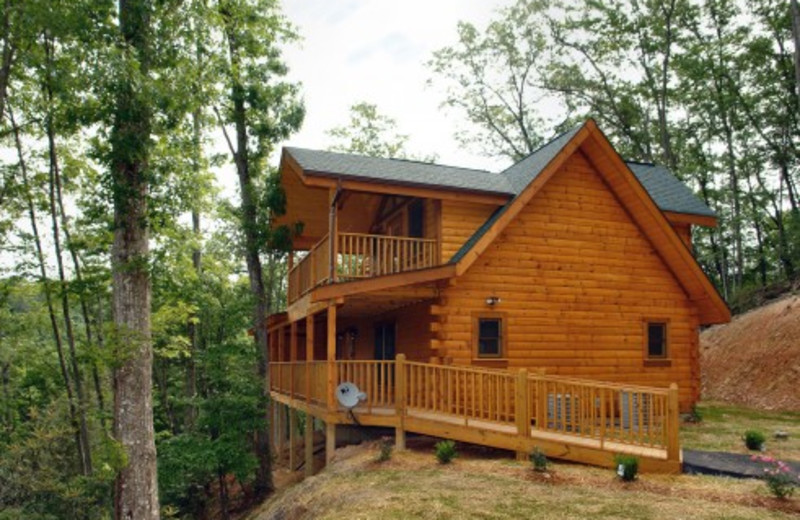 Sevierville Vacation Rentals Cabin Stardust Mountain II / 4