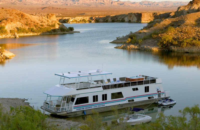 Cottonwood Cove Resort (Searchlight, NV) Resort Reviews