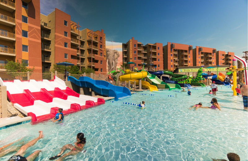 Kalahari Waterpark Resort (Sandusky, OH) Resort Reviews