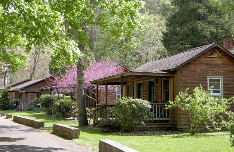 Brookside Cabins (Luray, VA) Resort Reviews