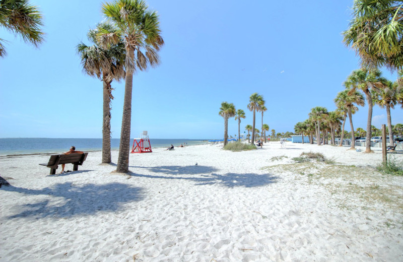 Florida Sun Vacation Rentals (Palm Harbor, FL) Resort Reviews