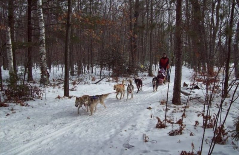 Wild Eagle Lodge (Eagle River, WI) Resort Reviews