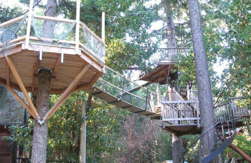 Out 'N' About Treehouse Resort (Cave Junction, OR) Resort Reviews