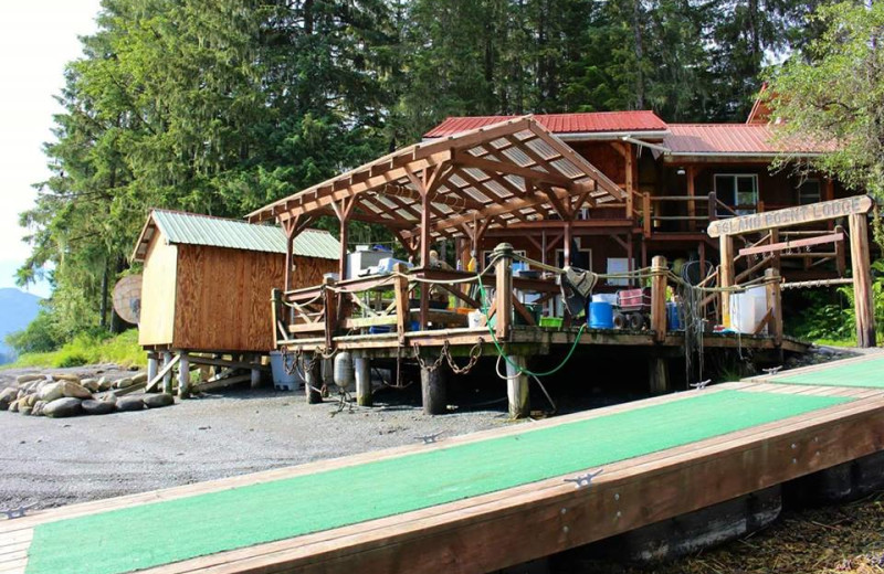 Island Point Lodge (Petersburg, AK) Resort Reviews