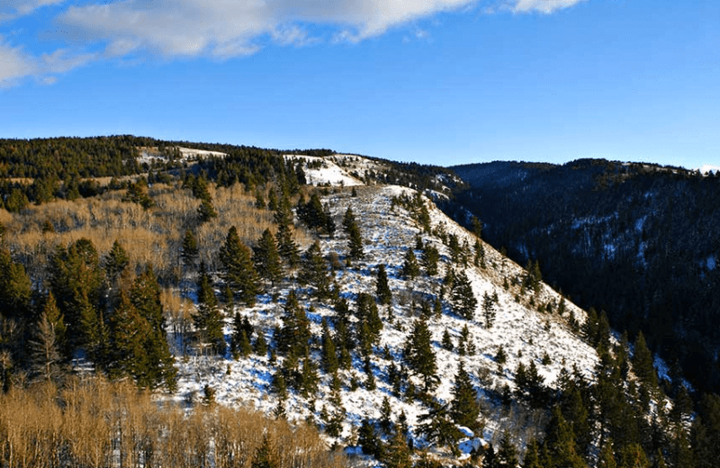 Rocky Mountain Elk Ranch (Newdale, ID) Resort Reviews