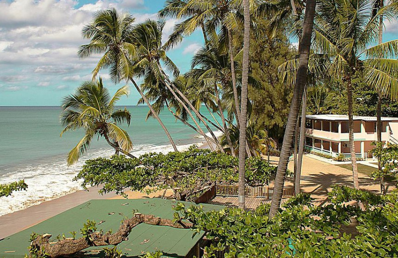 Parador Villa Antonio (Rincon, ) Resort Reviews