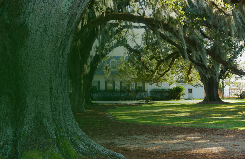Golden Ranch Plantation (Gheens, LA) Resort Reviews