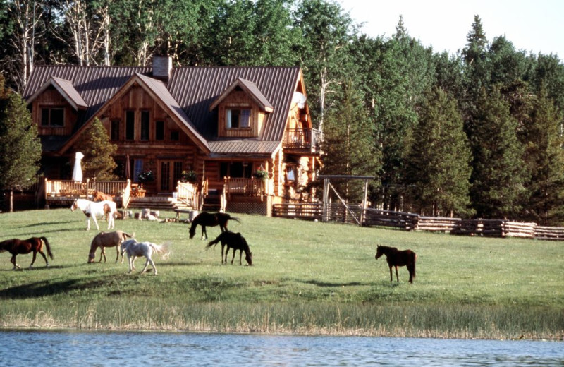 Siwash Lake Ranch (70 Mile House, British Columbia) Resort Reviews