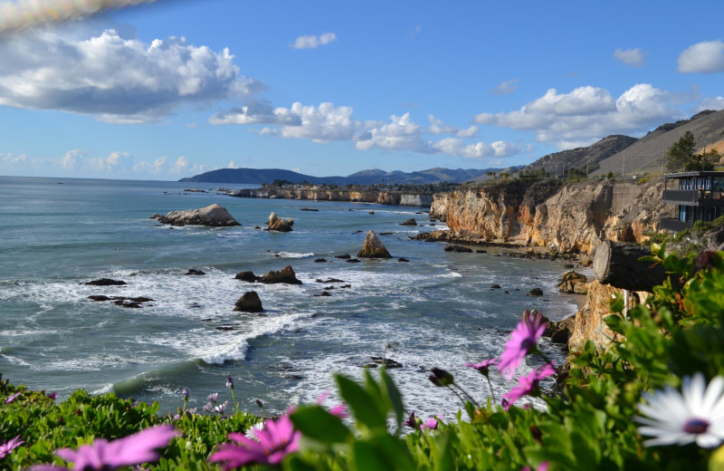 Best Western Plus Shelter Cove Lodge (Pismo Beach, CA) Resort Reviews